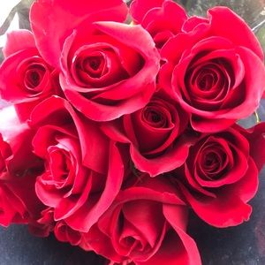 Meet your Posher, Wendy